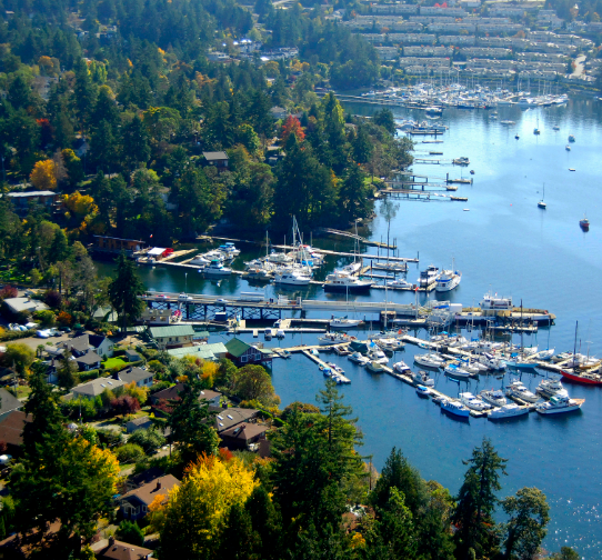 Brentwood Bay BC mobile detailing service area